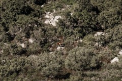 Punta-Sa-Turritta-abseiling-6