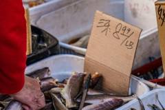 Chinatown-San-Francisco-21