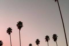 California-ontheroad-Venice-Beach-e-Los-Angeles-11