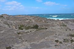 Isola-San-Pietro-Tonnara-La-Punta-2