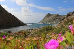 Isola-di-San-Pietro-Cala-Fico-1