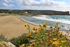Isola-di-San-Pietro-La-Caletta-1
