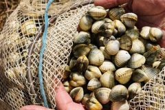 Marceddi-Vacanze-in-provincia-di-Oristano-9
