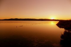 porto-pino-2015-3