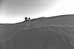 porto-pino-2015-5
