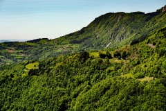 Serbia-con-she-leads-6