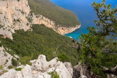 Supramonte-di-Baunei-Trekking-Cala-Biriala-4