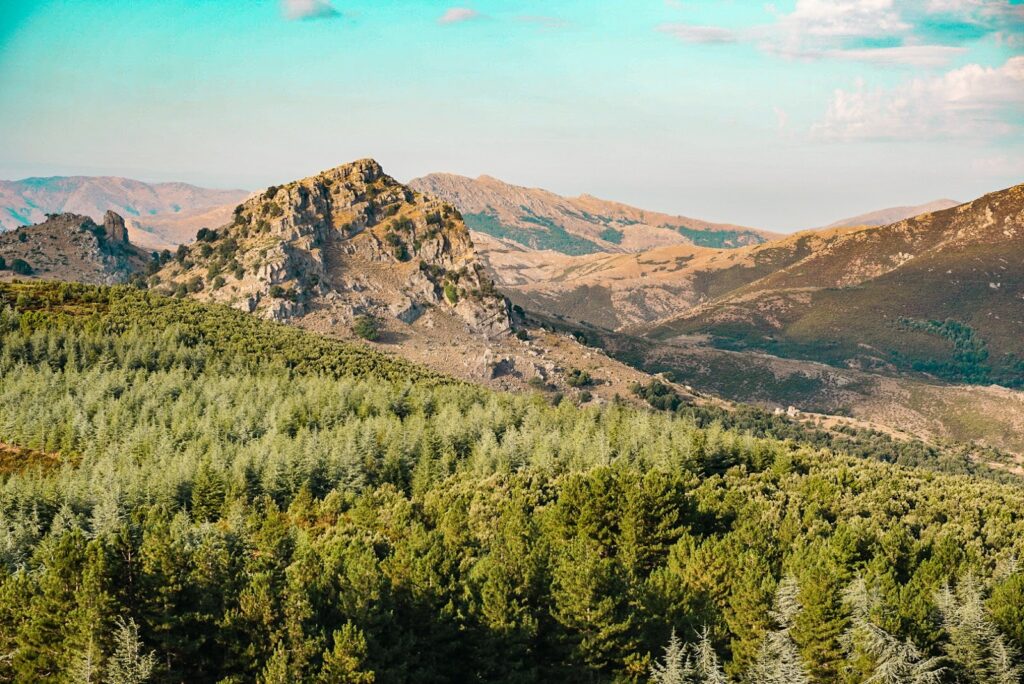 Panorama sulla Foresta di Montes